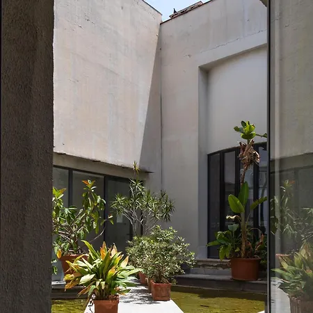 Cathedral Flat Centro *
